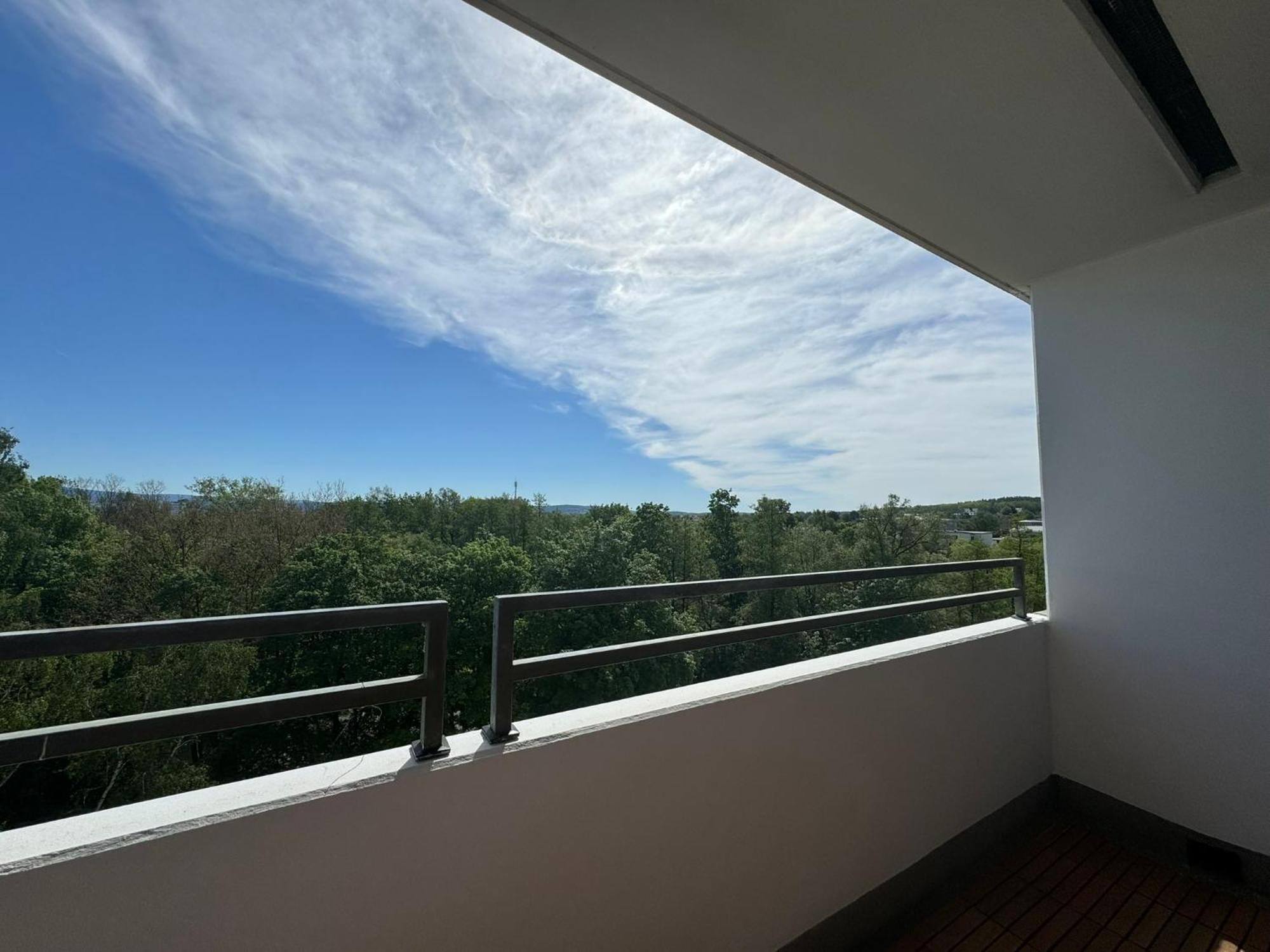 1 Zimmer Wohnung Mit Balkon Und Kueche Bayreuth Buitenkant foto